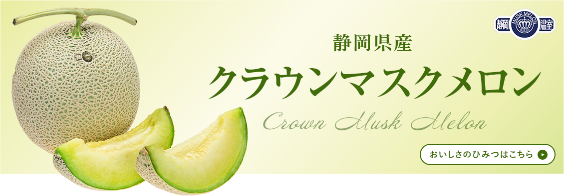 浜松餃子 バナー画像