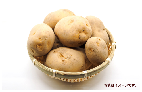 はままつ三方原馬鈴薯