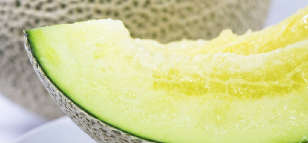 クラウンマスクメロン