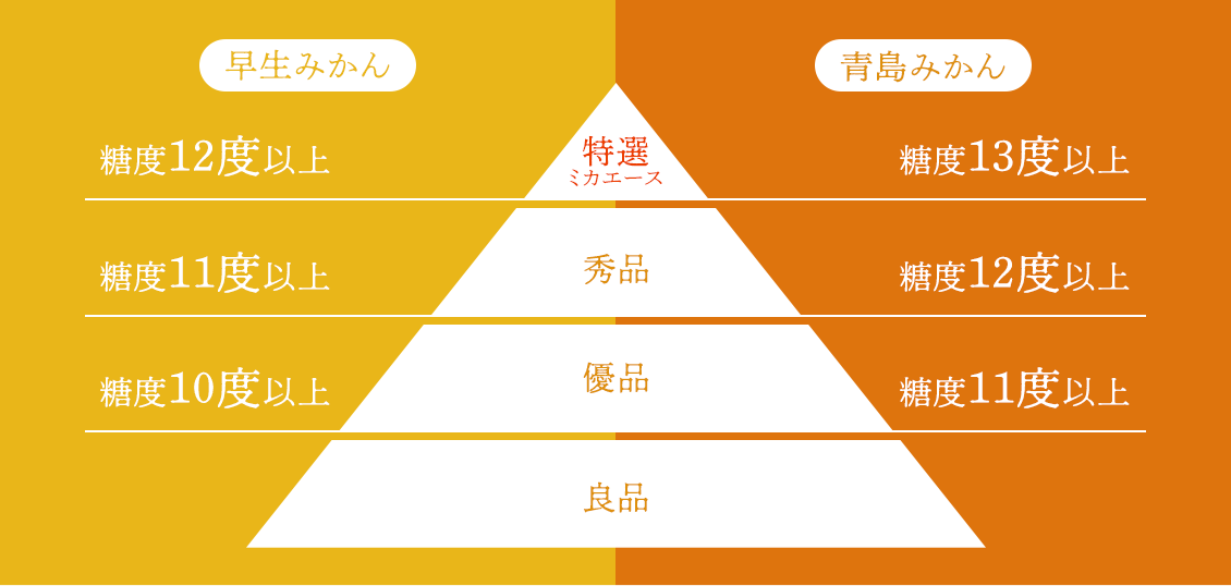 三ヶ日みかんのランク