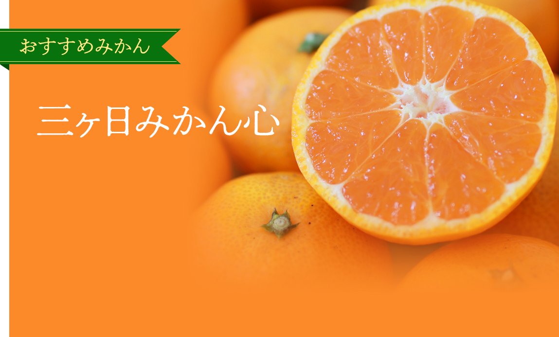 おすすめみかん 三ヶ日みかん心