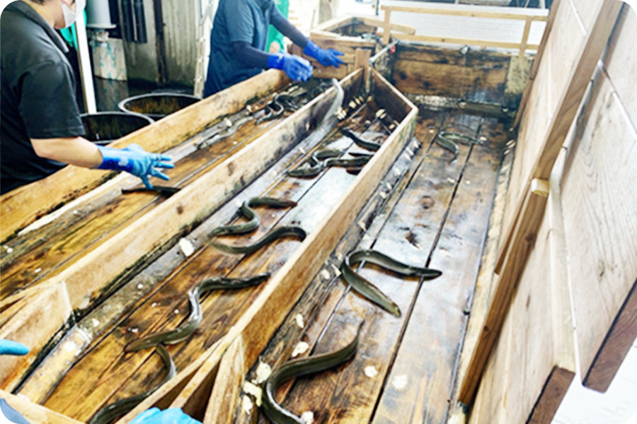 飼育状況を管理している様子